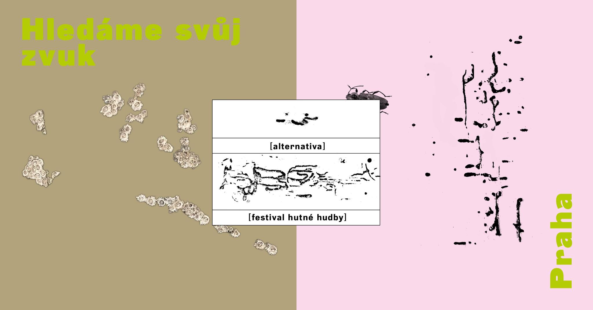 HLEDÁME SVŮJ ZVUK